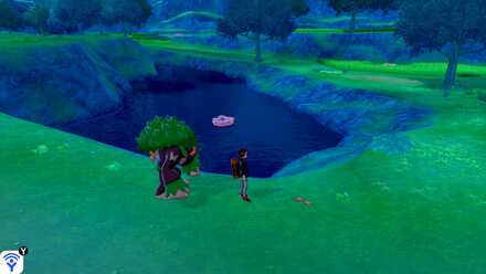 Terrakion Ballimere Lake 29.jpg