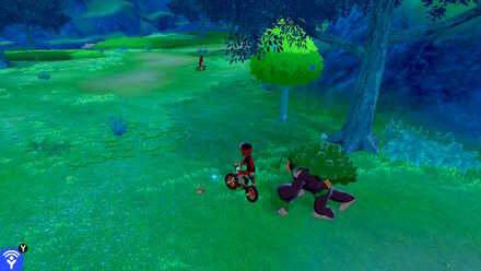 Terrakion Ballimere Lake 43.jpg