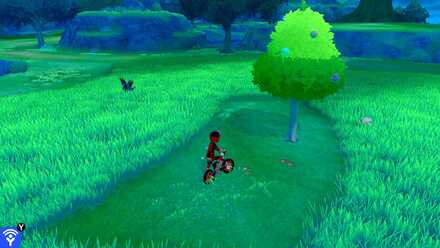 Terrakion Ballimere Lake 39.jpg