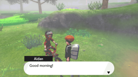 Pokemon - Spiritomb Dialogue People.png