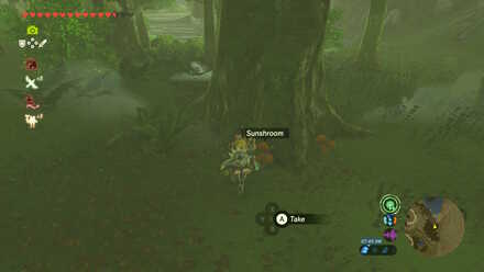 Sunshroom at Retsam Forest