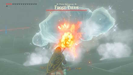 Melt the ice on its Body (BotW) - Frost Talus
