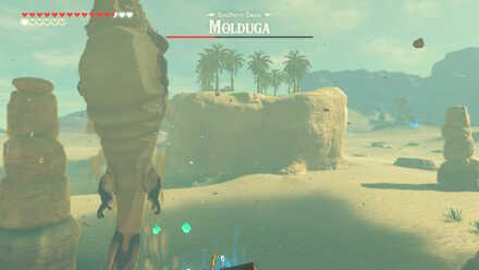 Use Upgraded Armor (BotW) - Molduga