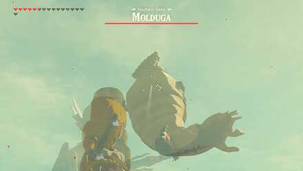 Aim for its Stomach (BotW) - Molduga