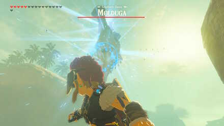 Detonate a Remote Bomb (BotW) - Molduga