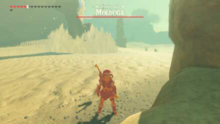 Look for a Solid Platform