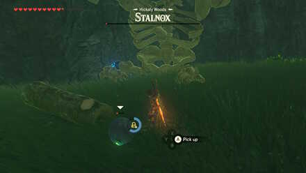 Destroy its Eye (BotW) - Stalnox