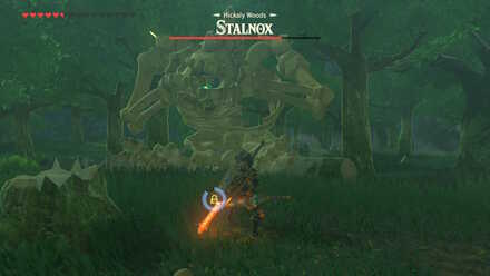 Shoot its Eye (BotW) - Stalnox