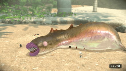 Sandbelching Meerslug.png