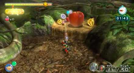 Tropical Forest Area Picture.jpeg