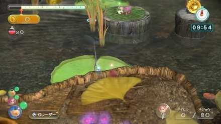 Twilight Hollow Area Picture.jpeg