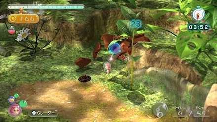 Tropical Forest Remix Area Picture.jpeg