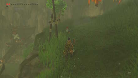 7th Cucco Overworld Location (BotW) - Flown the Coop