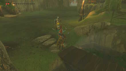 1st Cucco Overworld Location (BotW) - Flown the Coop