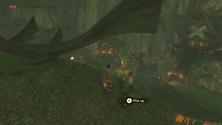 2nd Cucco Overworld Location (BotW) - Flown the Coop