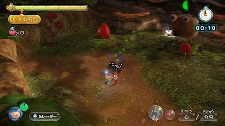 Tropical Forest Image #2.jpeg