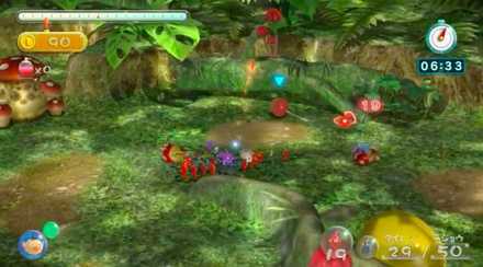 Tropical Forest Image #3.jpeg