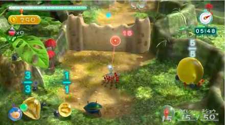 Tropical Forest Image # 4.jpeg