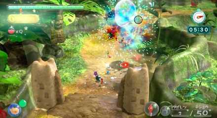 Tropical Forest Image #5.jpeg