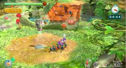 Tropical Forest Image #6.jpeg