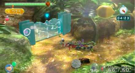 Tropical Forest Image #7.jpeg