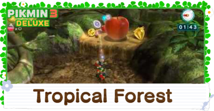 Tropical Forest Platinum Medal Walkthrough
