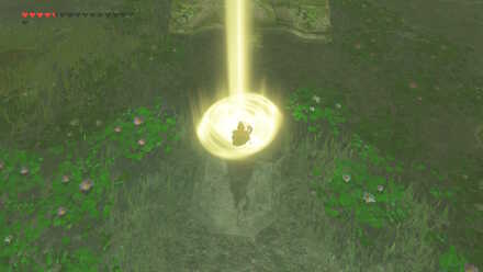 Drop the Scale (BotW) - The Spring of Power