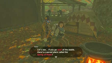 Talk to Nobo (BotW) - The Spring of Power