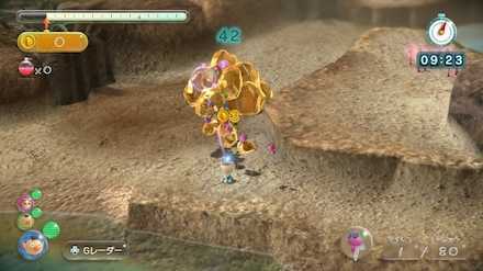 Managed your Winged Pikmin Well.jpeg