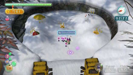 Digging second set of fruits.jpg