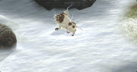 Bearded Amprat Image