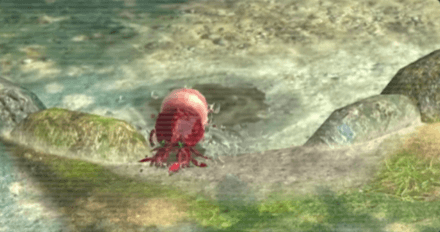 Hermit Crawmad Image