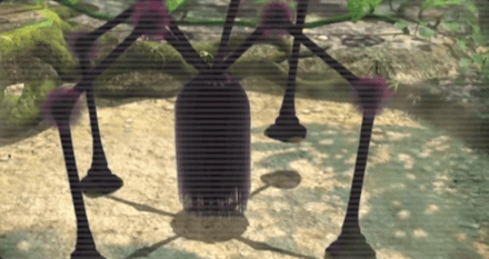 Shaggy Long Legs Image