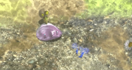 Toady Bloyster Image