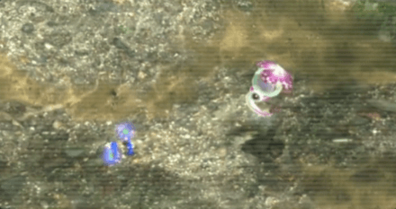 Orange Bulborb Image