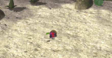 Male Sheargrub Image