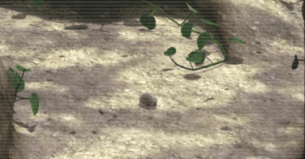 Female Sheargrub Image