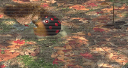 Spotty Bulbear Image