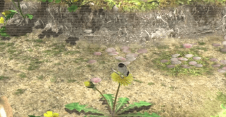 White Spectralid Image