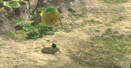 Yellow Wollywog Image