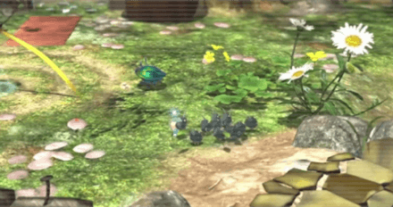 Iridescent Flint Beetle Image