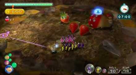 Explore while collecting fruits image.jpeg