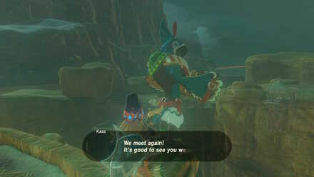 Talk to Kass (BotW) - Sign of the Shadow