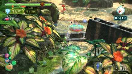 Transporting with mushrooms.jpg