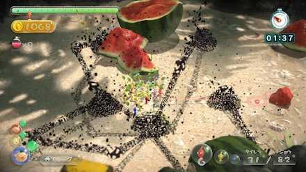 Forgotten Cove Image #2.jpeg