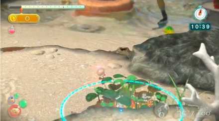 Forgotten Cove Image #3.jpeg