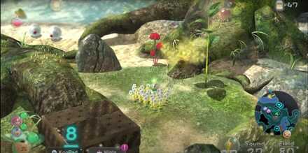 Pathway Covered with Mushrooms