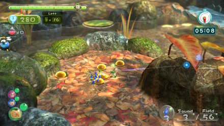 Drinking yellow nectar.jpg