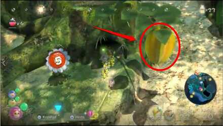 Stellar Extrusion How to Obtain #2