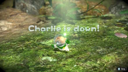 Charlie is Down.jpg